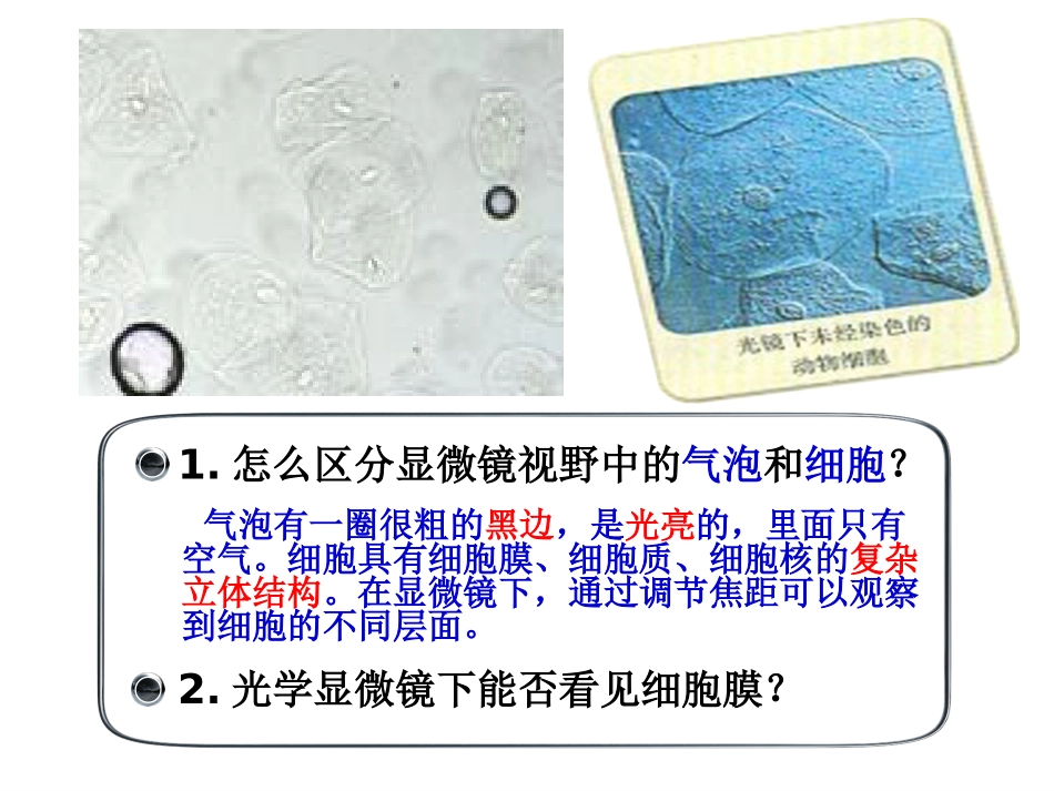 3.1细胞膜--系统的边界_第2页