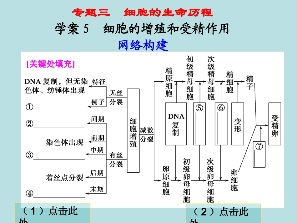 第一部分专题三学案5_第1页