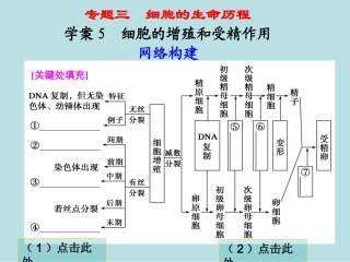 第一部分专题三学案5