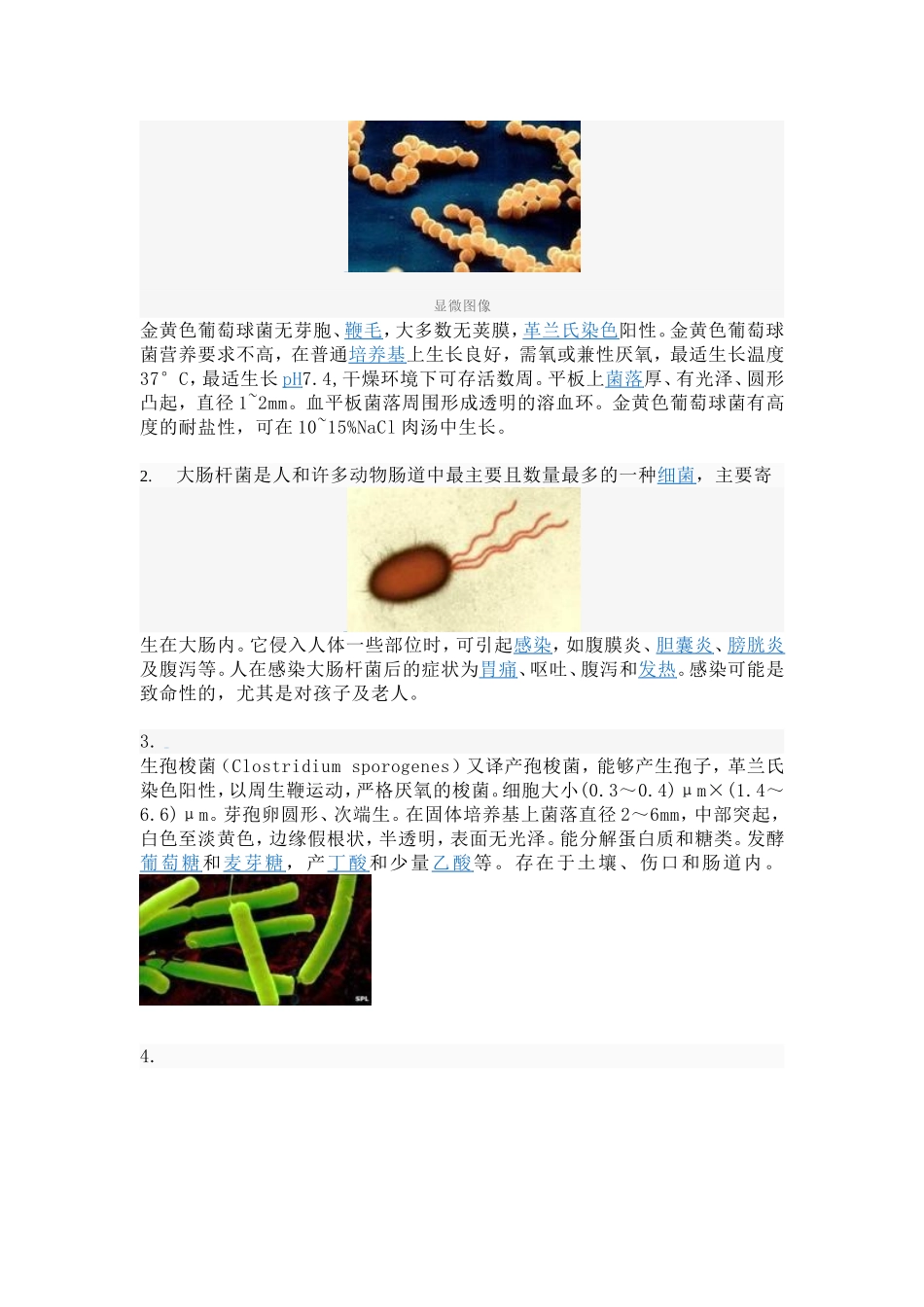 查得的各菌性质及培养方法_第3页