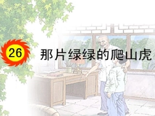 26那片绿绿的爬山虎