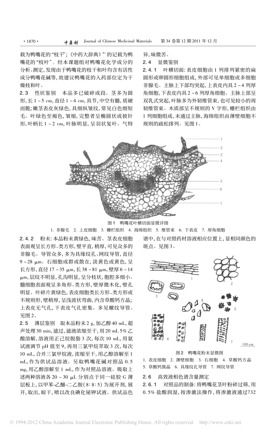 藏药巴夏嘎生药鉴定_陈雄_第2页