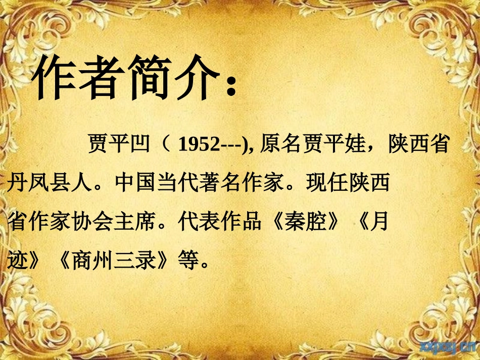 丑石课件2-(2)_第2页