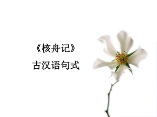 《核舟记》古汉语句式