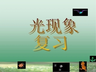 《光现象》复习