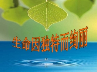 生命因独特而绚丽