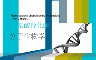 苯丙酮酸羟化酶引物设计