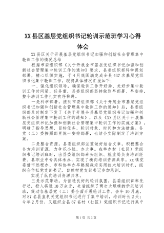 XX县区基层党组织书记轮训示范班学习心得体会