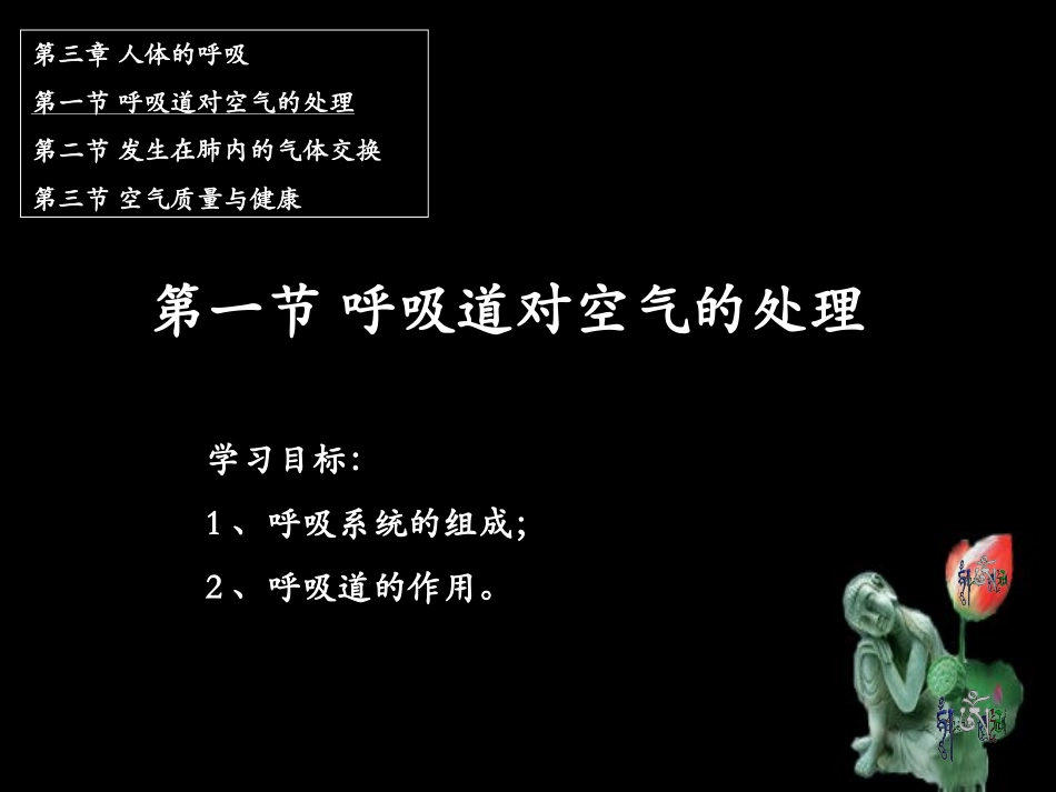 3.1呼吸道对空气的处理-七年级下册-人教版-课件_第1页