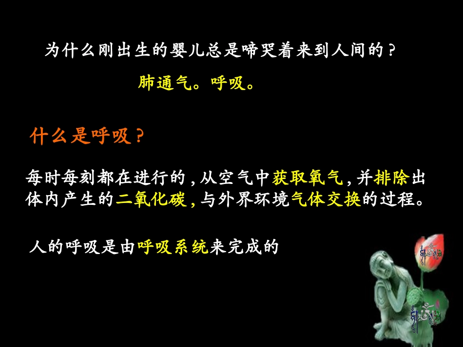 3.1呼吸道对空气的处理-七年级下册-人教版-课件_第2页