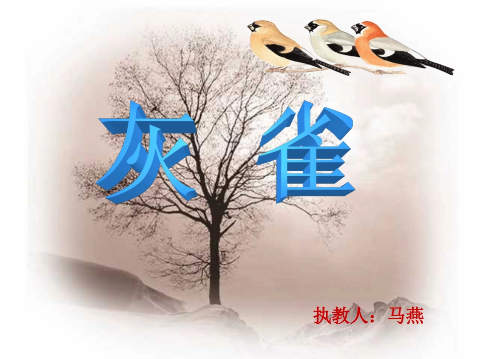 灰雀托里一小_第2页