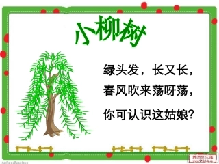 小柳树和小枣树课件