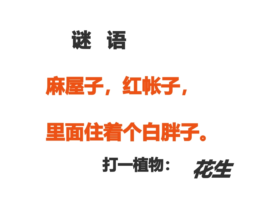 15.落花生_第1页