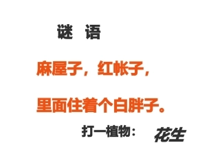 15.落花生