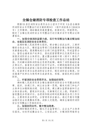 全镇仓储消防专项检查工作总结 (2)