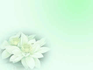 好习惯重在养成