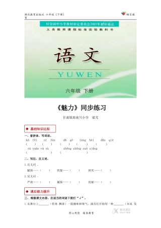 【同步练习】《魅力》(鄂教)