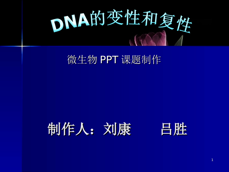 DNA的变性和复性1_第1页