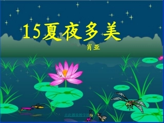 15夏夜多美3