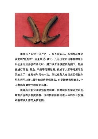 9.走近东北黑土地