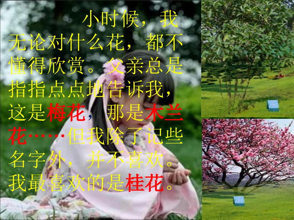 桂花雨(孔)_第3页