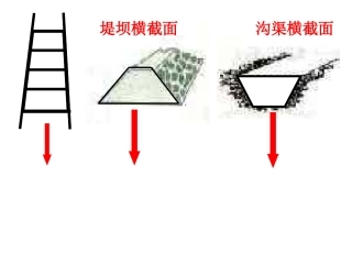 2平行四边形和梯形课件