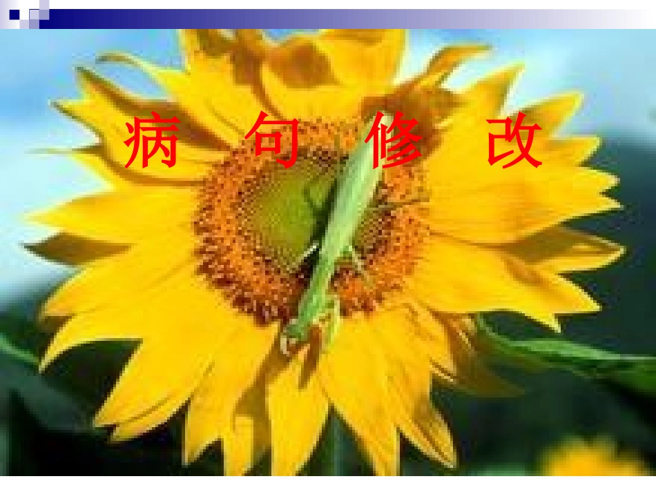 写作之病句修改_第1页