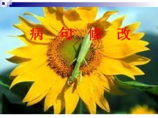 写作之病句修改