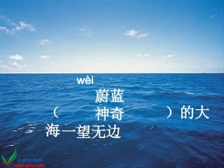 青蛙看海-(2)