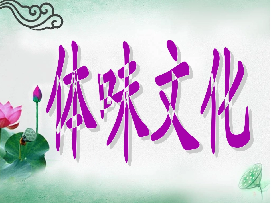 11体味文化_第2页