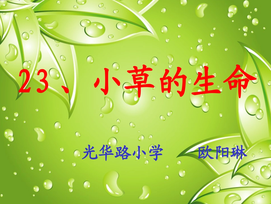 23、小草的生命_第1页