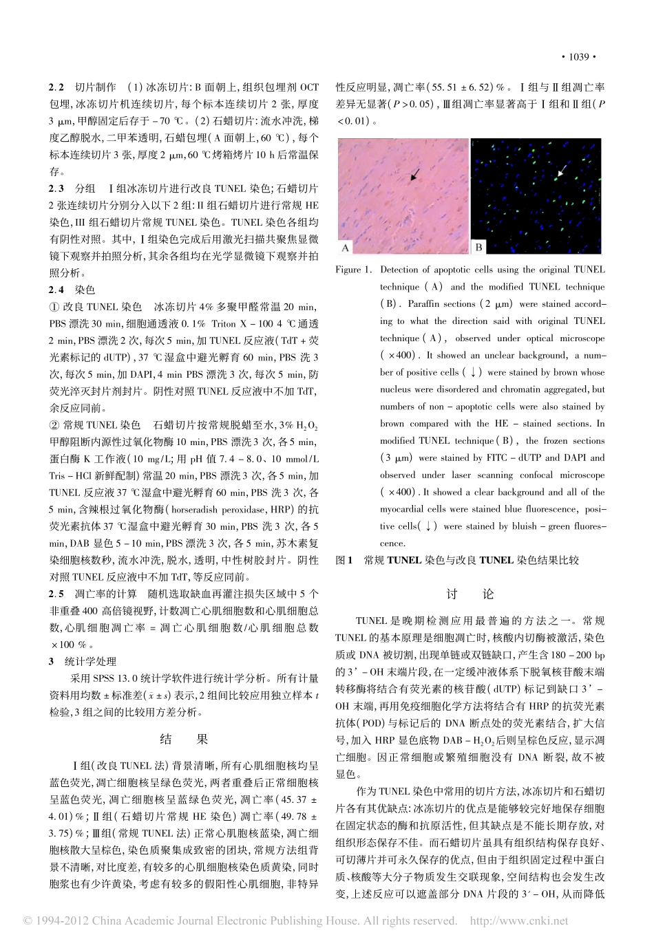 TUNEL法原位检测心肌细胞凋亡的改进_董小莉_第2页