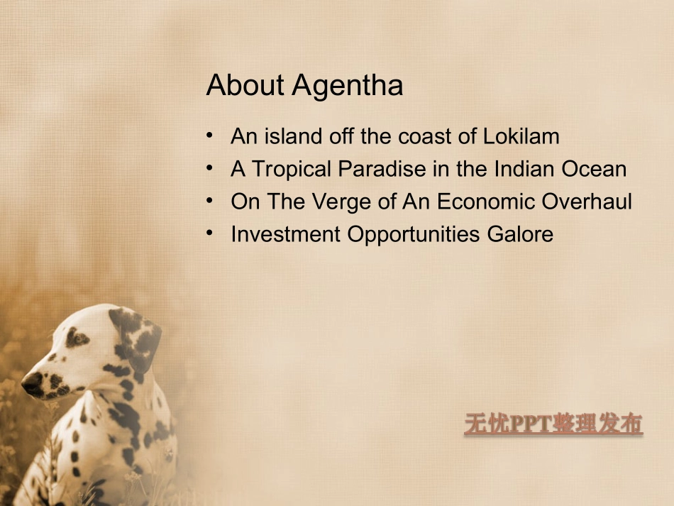 斑点狗-动物PPT模板_第2页