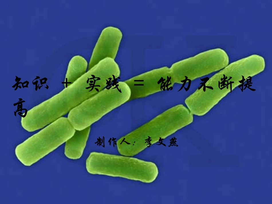 细菌和真菌的分布_第2页