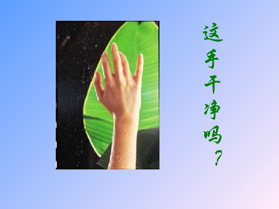 细菌和真菌的分布_第3页