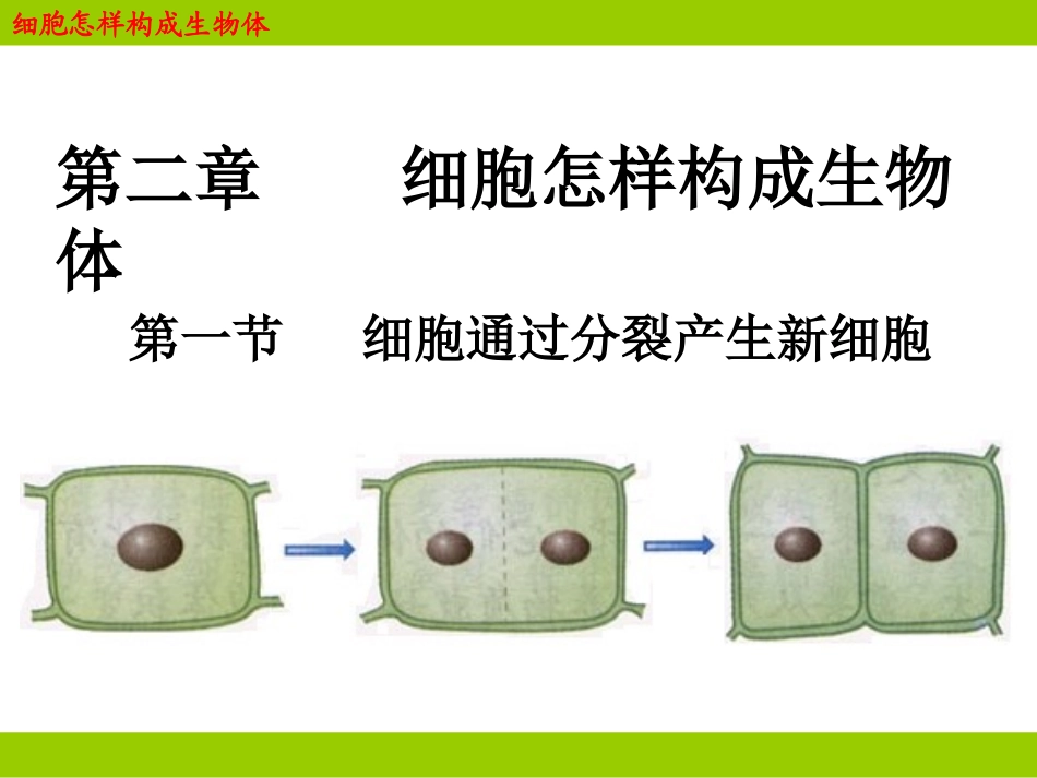 2.2.1细胞怎样构成生物体_第1页