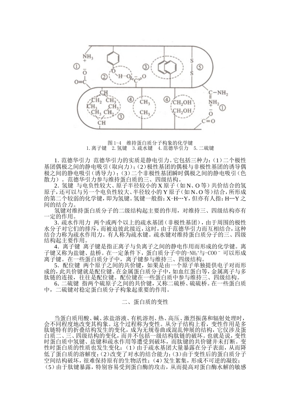 蛋白质存在于一切生物体内_第2页