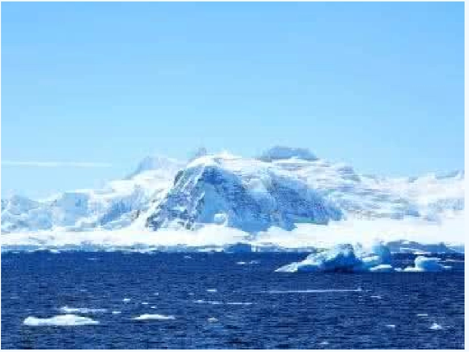 (部编)初中语文人教2011课标版七年级下册第五单元-21-伟大的悲剧_第3页