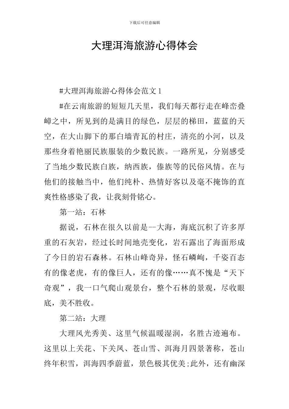 大理洱海旅游心得体会_第1页