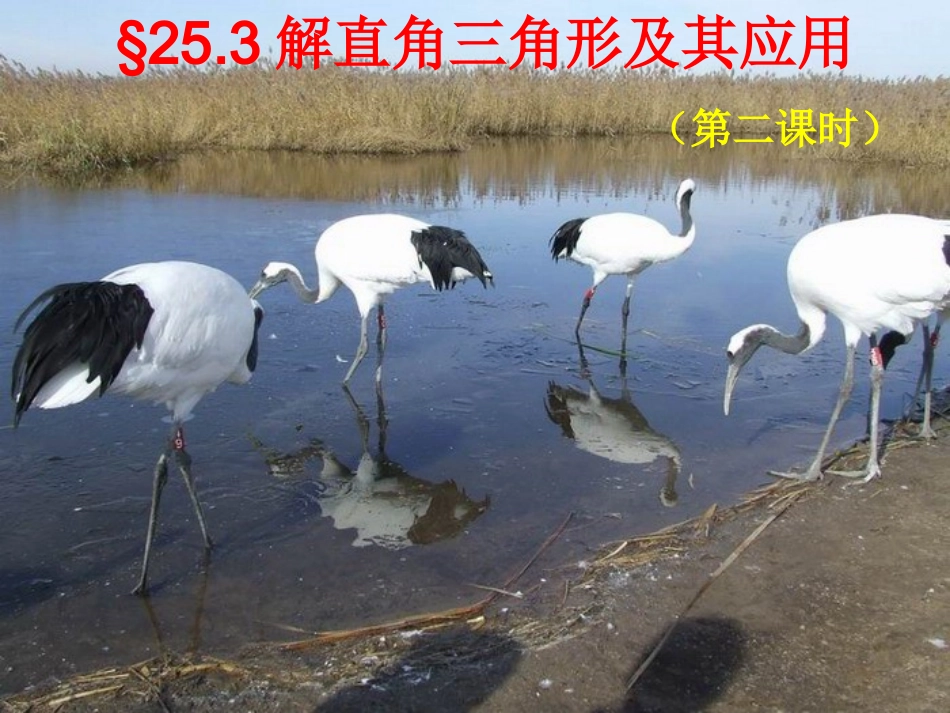 §25.3解直角三角形及其应用(第二课时)_第1页
