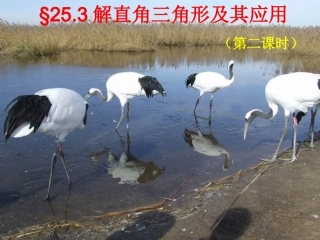 §25.3解直角三角形及其应用(第二课时)
