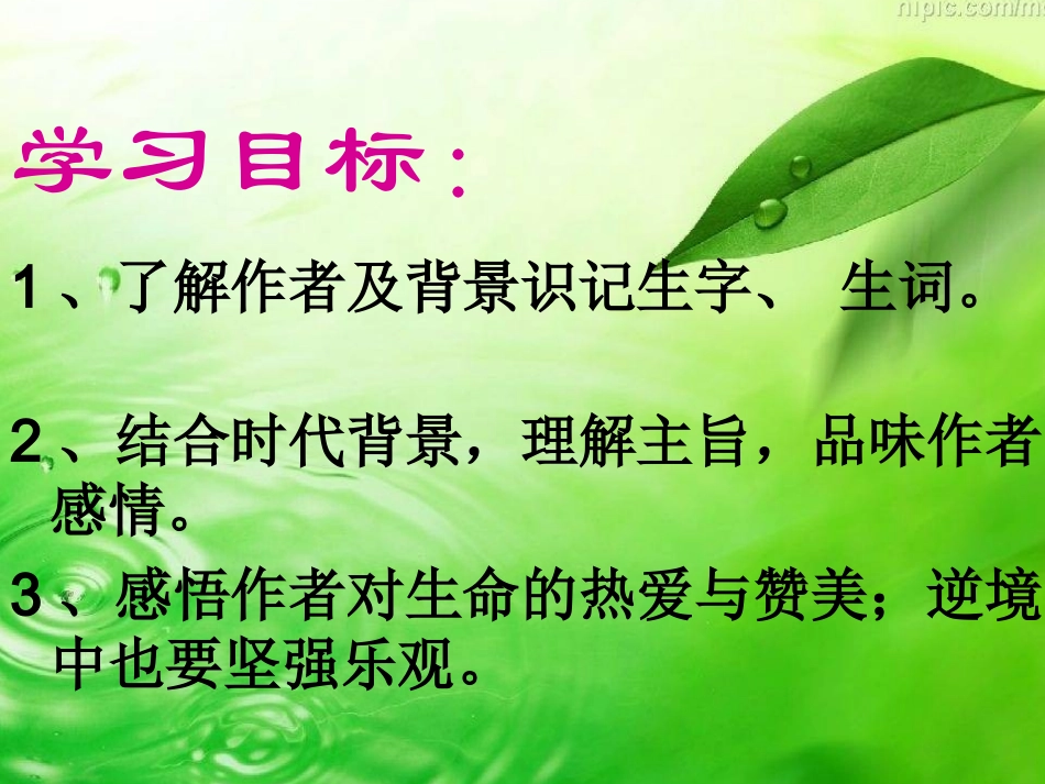 狱中书简课件_第2页