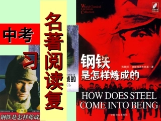 中考名著阅读复习之《钢铁是怎样炼成的》