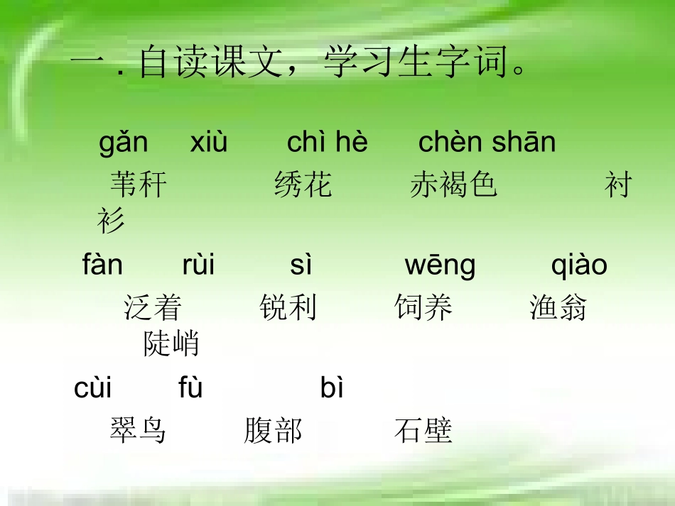 小学语文翠鸟课件_第3页