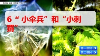 6“小伞兵”和“小刺猬”
