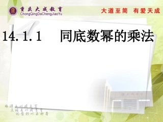 14.1.1--同底数幂的乘法-(4)