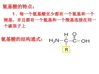 蛋白质复习重点