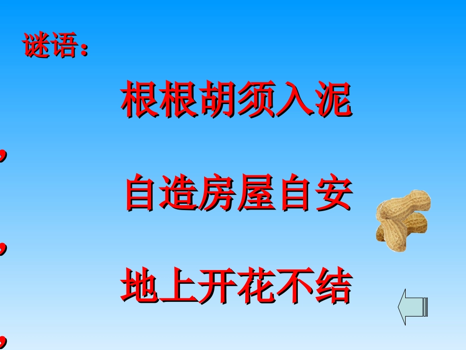 落花生ppt课件(2)_第1页