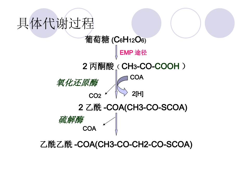 丙酮丁醇的代谢_第3页