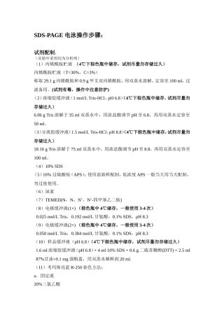 蛋白质电泳操作步骤